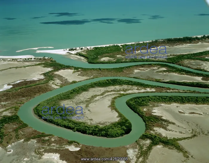 : Aerial - Duck Creek : Aerial - Duck Creek