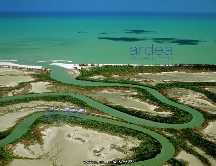  : Aerial - Duck Creek - with ox-bows and mangrove-lined