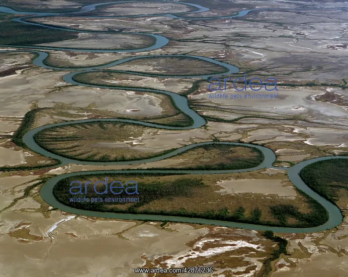 : Aerial - Duck Creek oxbows Gulf of Carpentaria : Aerial - Duck Creek oxbows Gulf of Carpentaria