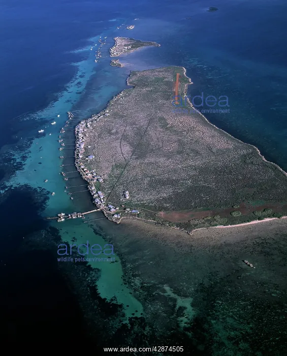 : Aerial - Easter Group (Rat & Little Islands) with : Aerial - Easter Group (Rat & Little Islands) with