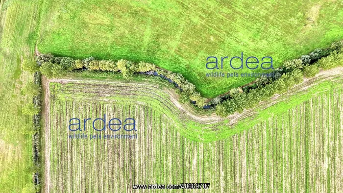 : Aerial of a field : Aerial of a field