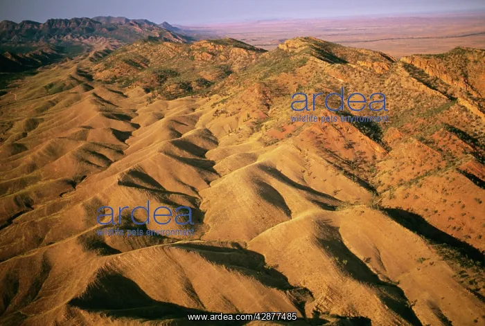  : Aerial - Flinders Ranges - South Australia