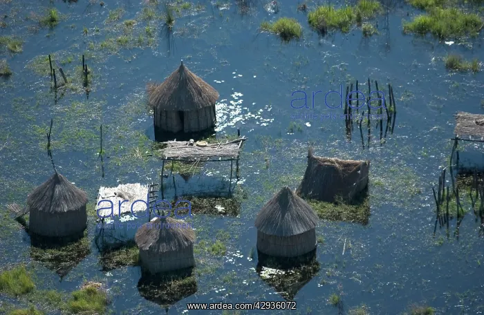 : Aerial of Flooded Fishing Village : Aerial of Flooded Fishing Village