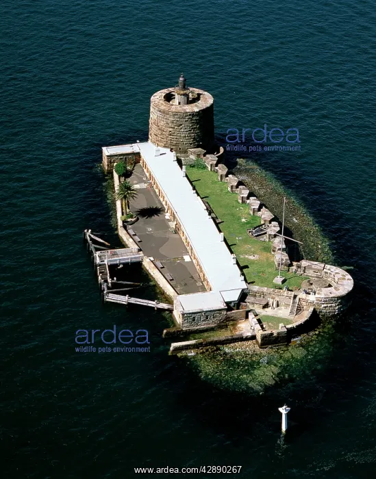 : Aerial - Fort Denison Sydney, New South Wales, Australia : Aerial - Fort Denison Sydney, New South Wales, Australia