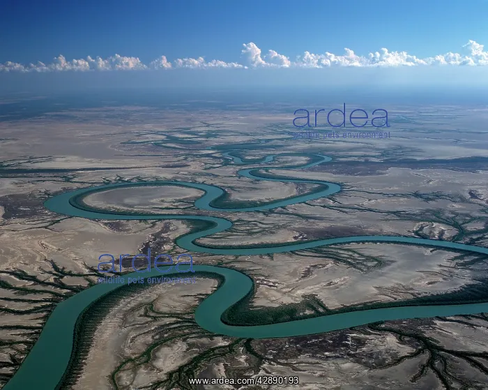 : Aerial - Gin Arm Creek, oxbows (meanders) : Aerial - Gin Arm Creek, oxbows (meanders)