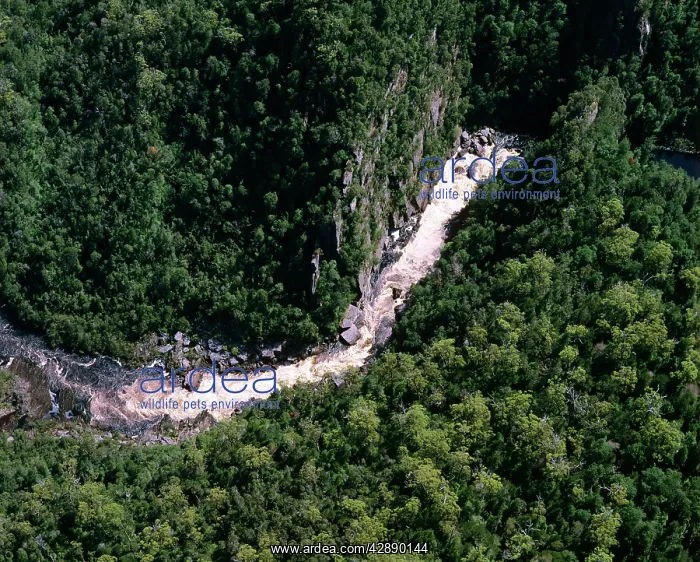 : Aerial - Gordon River Franklin : Aerial - Gordon River Franklin
