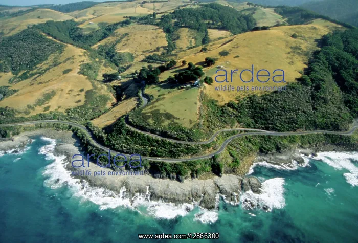  : Aerial - Great Ocean Road & Sunnyside Road Otway