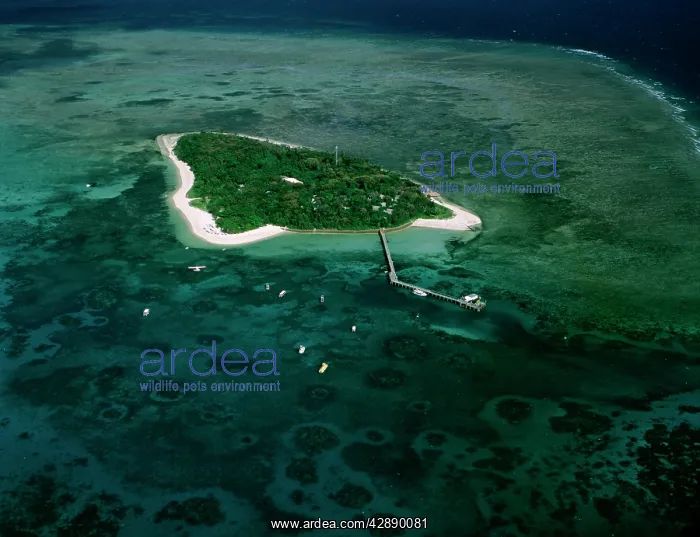  : Aerial - Green Island