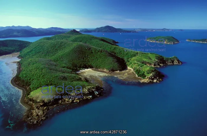: Aerial - Hamilton Island, Whitsunday Group Whitsunday : Aerial - Hamilton Island, Whitsunday Group Whitsunday