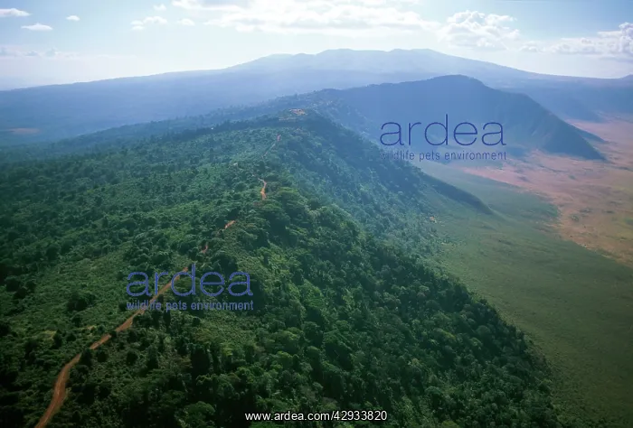 : Aerial image of Africa: Ngorongoro Crater, Tanzania : Aerial image of Africa: Ngorongoro Crater, Tanzania