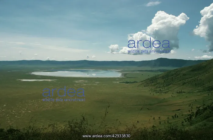 : Aerial image of Africa: Ngorongoro Crater, Tanzania : Aerial image of Africa: Ngorongoro Crater, Tanzania