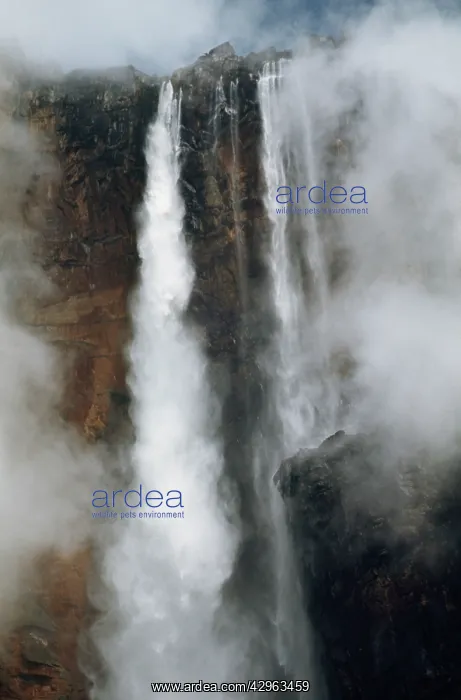 : Aerial image of Angel Falls and Mount Auyantepui : Aerial image of Angel Falls and Mount Auyantepui
