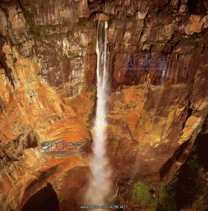 : Aerial image of Angel Falls and Mount Auyantepui : Aerial image of Angel Falls and Mount Auyantepui