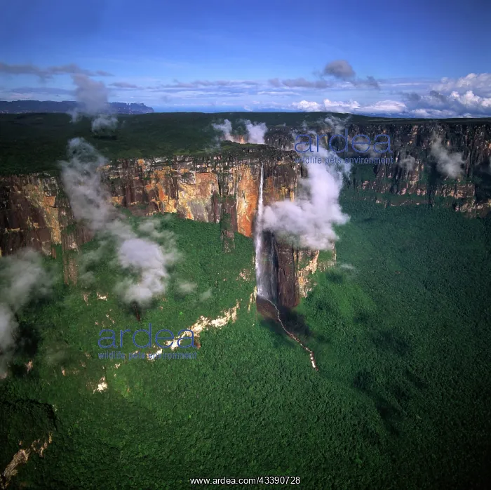  : Aerial image of Angel Falls and Mount Auyantepui