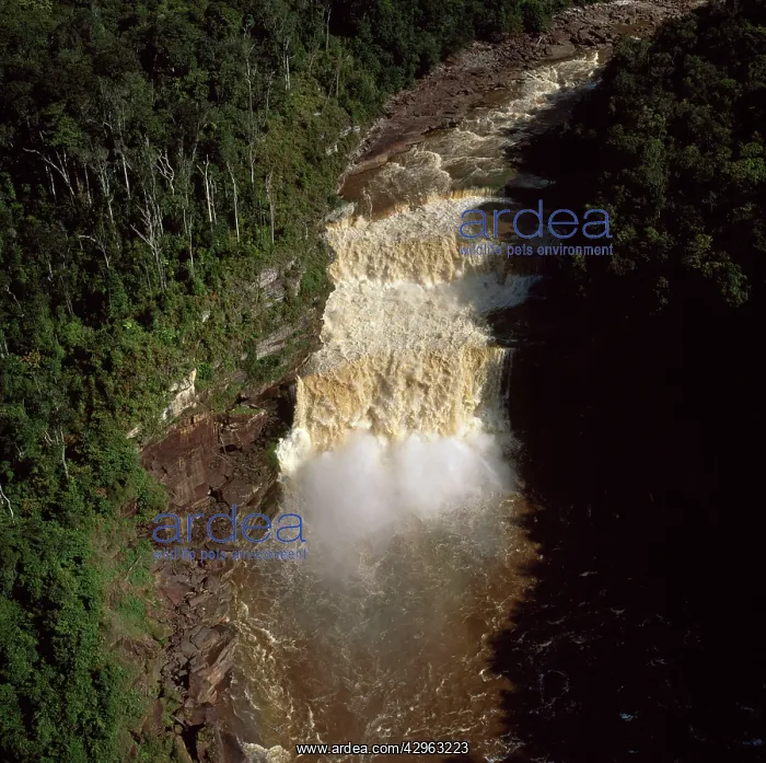 : Aerial image of Guyana : Aerial image of Guyana