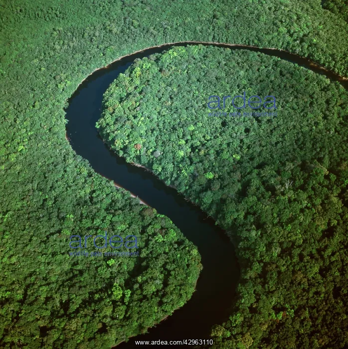 : Aerial image of Guyana, South America : Aerial image of Guyana, South America
