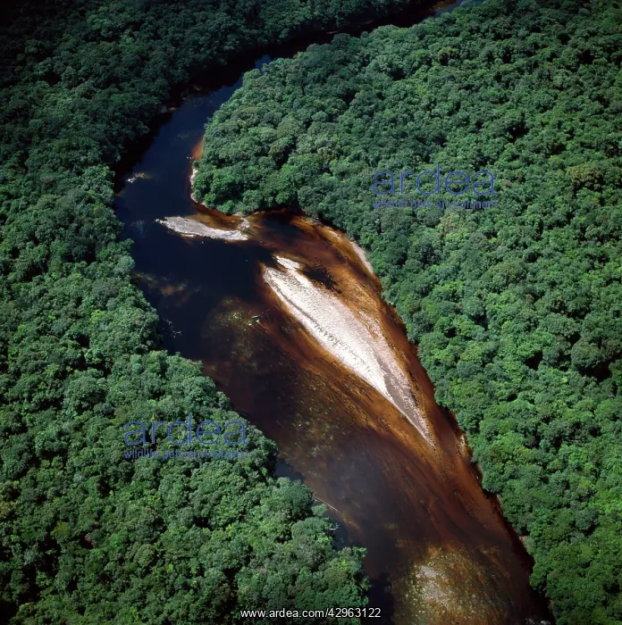  : Aerial image of Guyana, South America