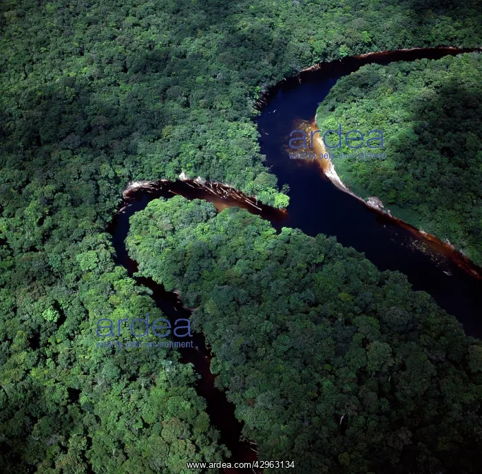 : Aerial image of Guyana, South America : Aerial image of Guyana, South America