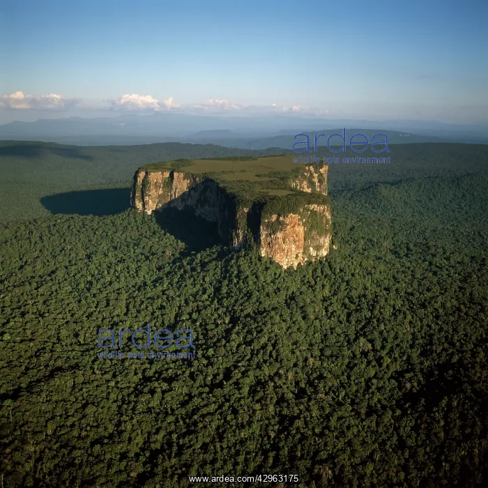 : Aerial image of Guyana, South America : Aerial image of Guyana, South America