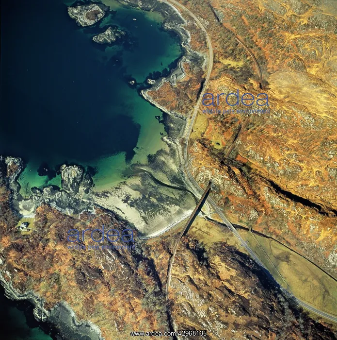 : Aerial image of Scotland, UK : Aerial image of Scotland, UK