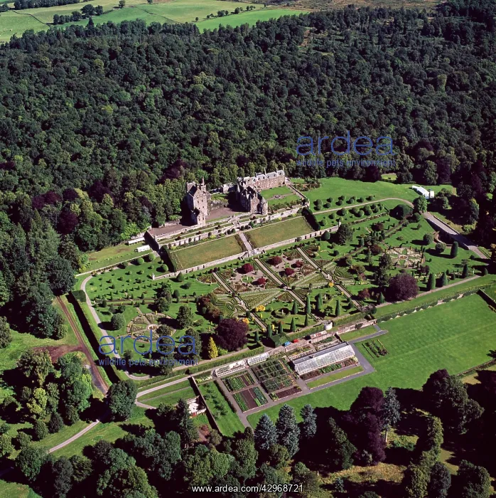 : Aerial image of Scotland, UK : Aerial image of Scotland, UK
