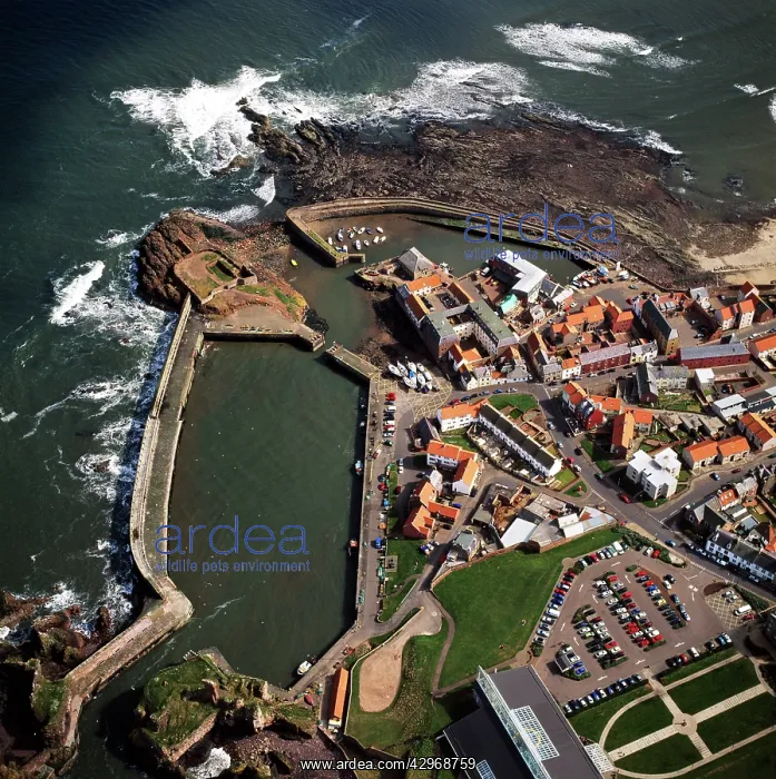  : Aerial image of Scotland, UK