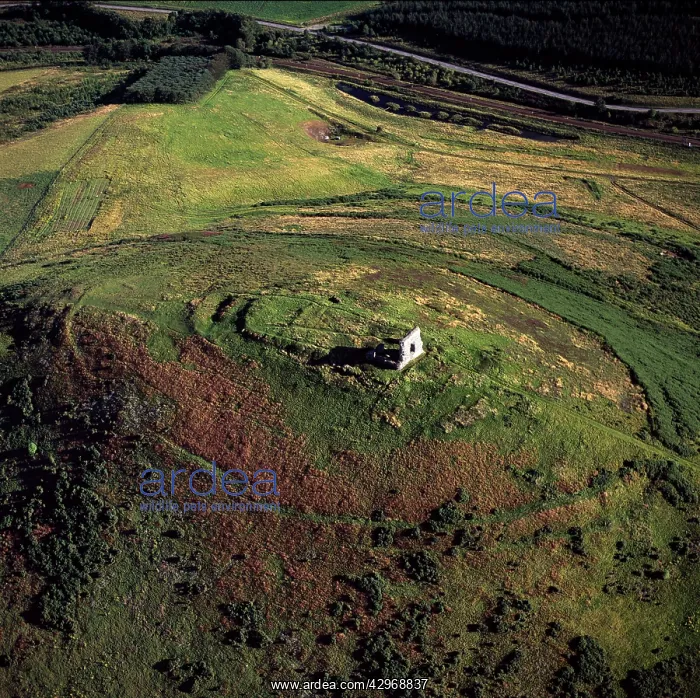 : Aerial image of Scotland, UK : Aerial image of Scotland, UK