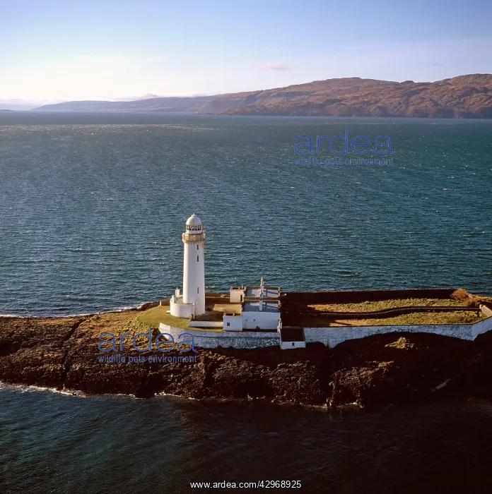 : Aerial image of Scotland, UK : Aerial image of Scotland, UK