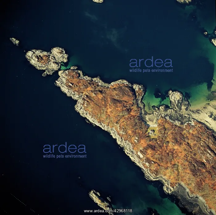 : Aerial image of Scotland, UK: Aerial image of Scotland : Aerial image of Scotland, UK: Aerial image of Scotland
