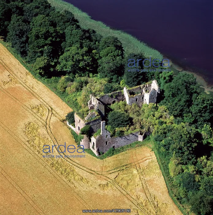  : Aerial image of Scotland, UK: Ballinbreich Castle