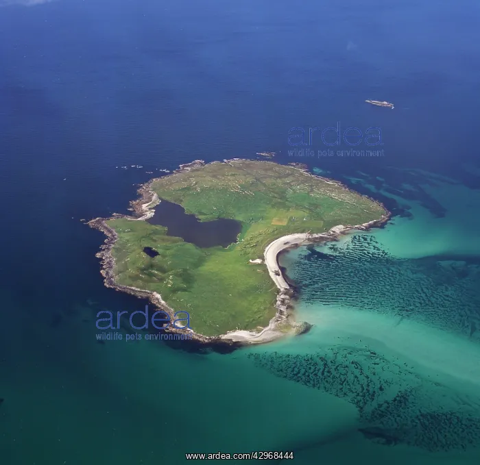 : Aerial image of Scotland, UK: Boreray, an island : Aerial image of Scotland, UK: Boreray, an island