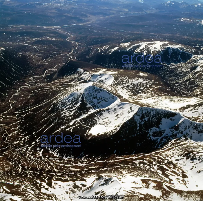 : Aerial image of Scotland, UK: Cairn Toul (Hill : Aerial image of Scotland, UK: Cairn Toul (Hill