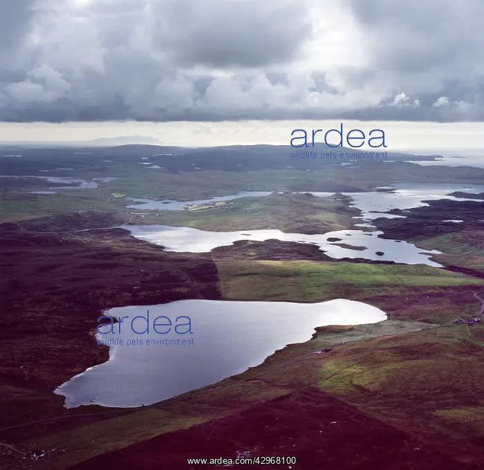 : Aerial image of Scotland, UK: Loch of Aithsness : Aerial image of Scotland, UK: Loch of Aithsness