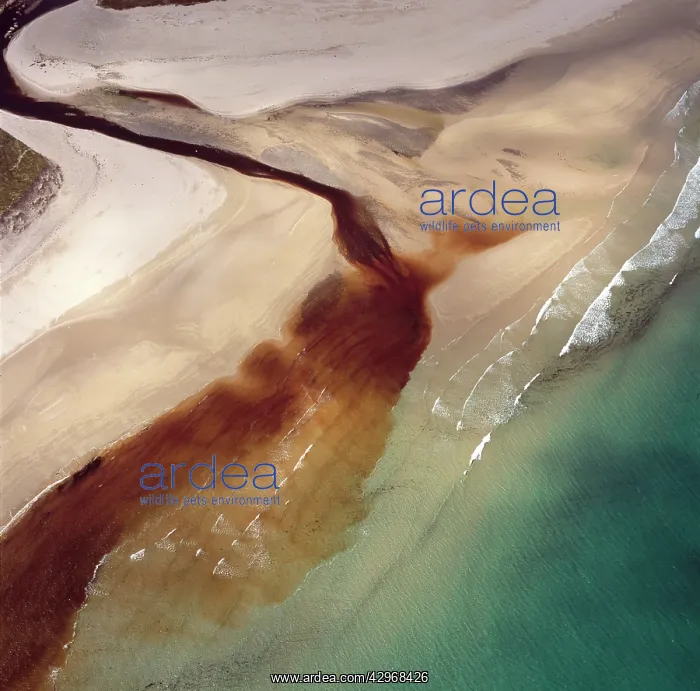 : Aerial image of Scotland, UK: Sinclair's Bay : Aerial image of Scotland, UK: Sinclair's Bay