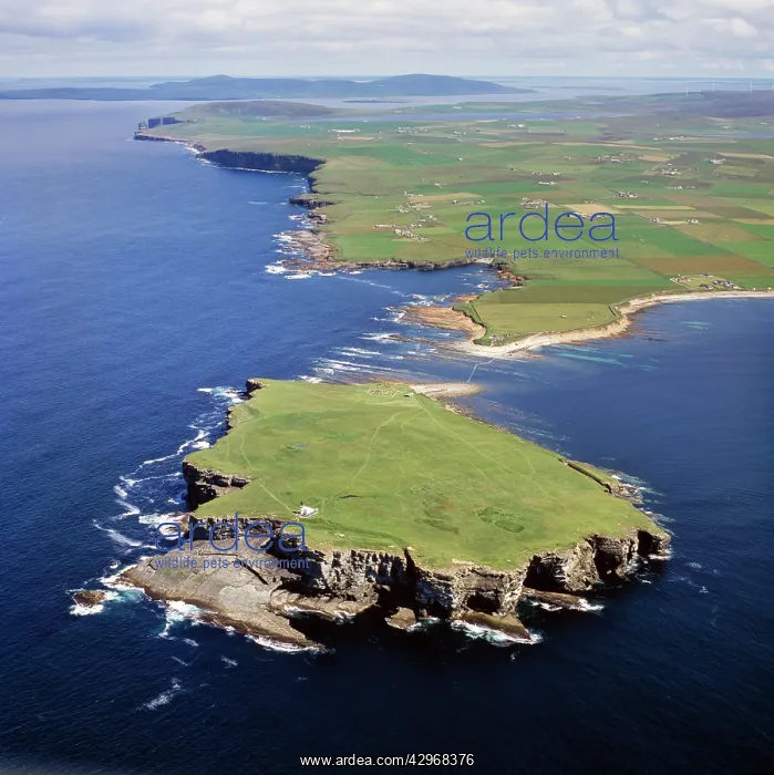  : Aerial image of Scotland, UK: Tidal island of Brough