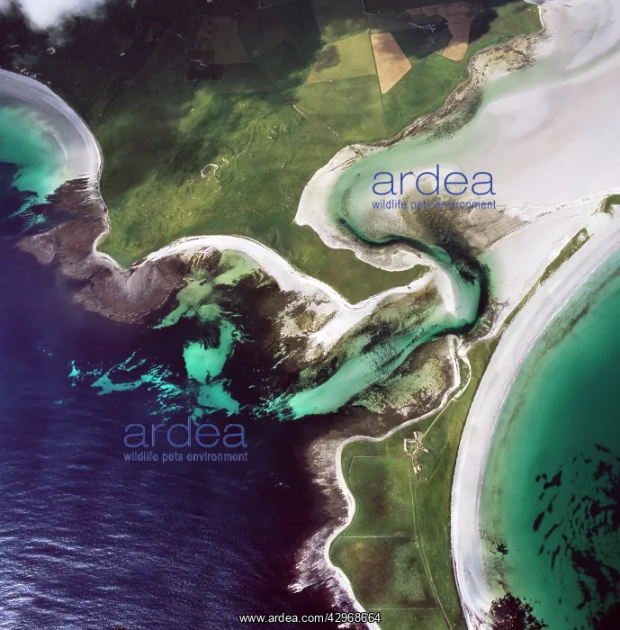 : Aerial image of Scotland, UK: Tres Ness, Sanday : Aerial image of Scotland, UK: Tres Ness, Sanday