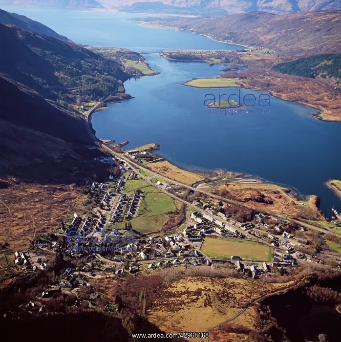 : Aerial image of Scotland, UK: the village of Ballachulish : Aerial image of Scotland, UK: the village of Ballachulish