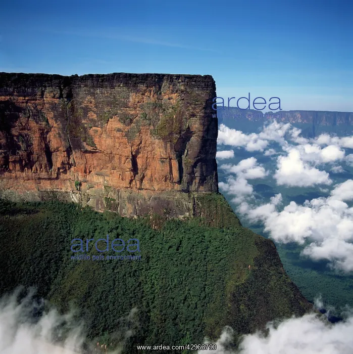 : Aerial image of Tepuis : Aerial image of Tepuis