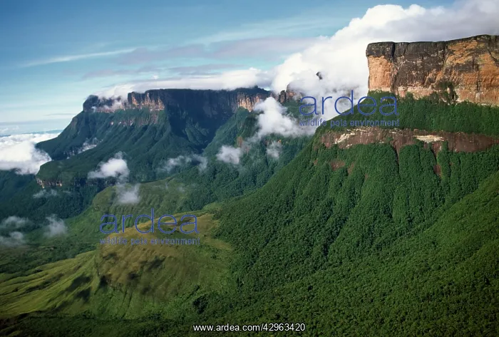: Aerial image of Tepuis, Venezuela : Aerial image of Tepuis, Venezuela