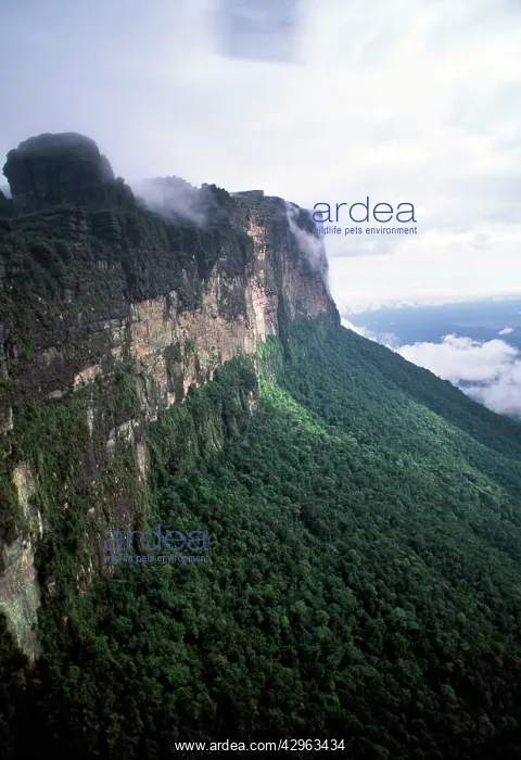 : Aerial image of Tepuis, Venezuela : Aerial image of Tepuis, Venezuela