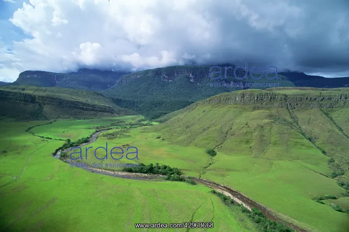 : Aerial image of Tepuis, Venezuela: Auyantepui (Auyantepuy : Aerial image of Tepuis, Venezuela: Auyantepui (Auyantepuy