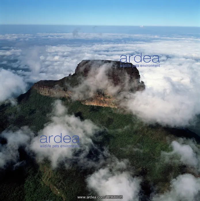 : Aerial image of Tepuis, Venezuela, South America : Aerial image of Tepuis, Venezuela, South America