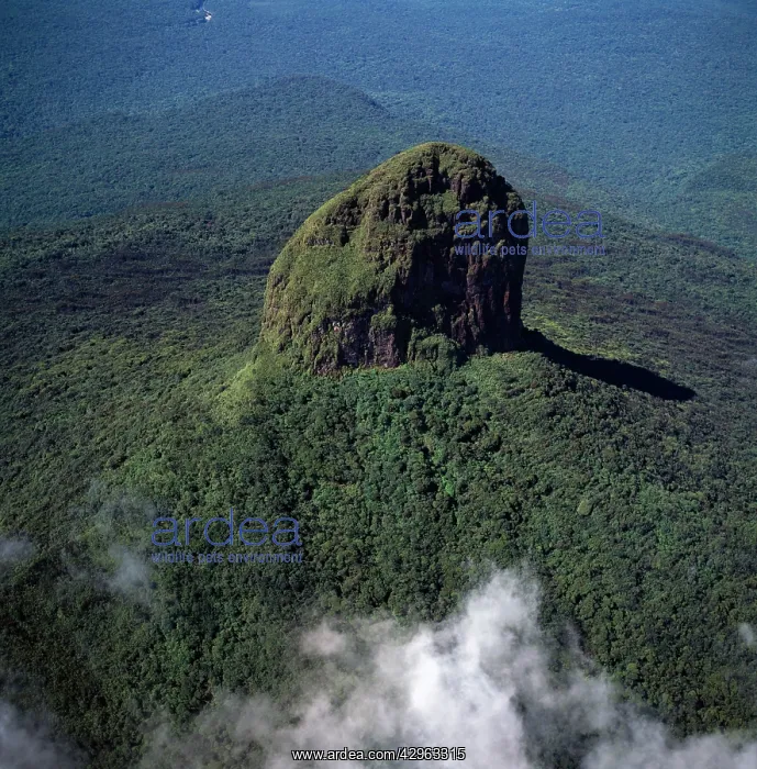 : Aerial image of Tepuis, Venezuela, South America : Aerial image of Tepuis, Venezuela, South America