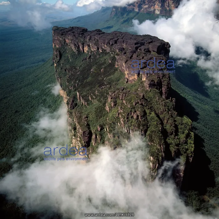 : Aerial image of Tepuis, Venezuela, South America : Aerial image of Tepuis, Venezuela, South America