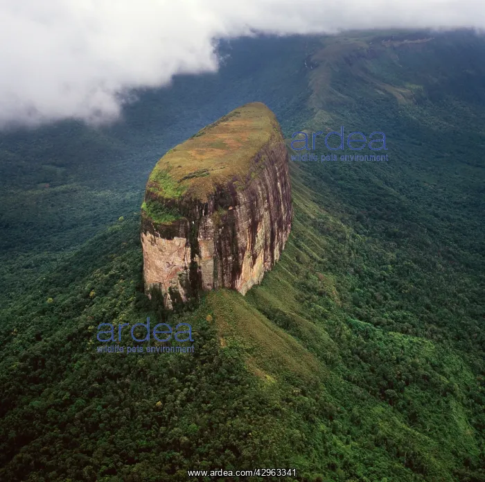 : Aerial image of Tepuis, Venezuela, South America : Aerial image of Tepuis, Venezuela, South America