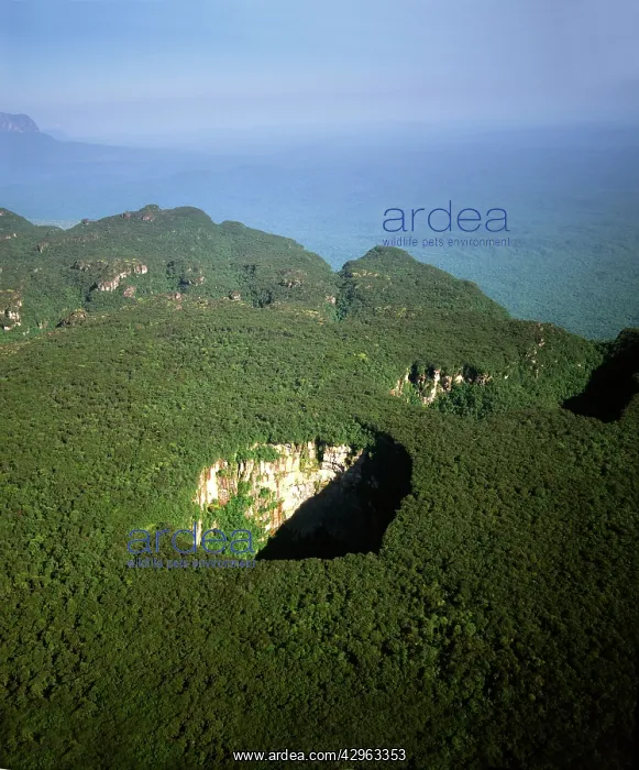 : Aerial image of Tepuis, Venezuela, South America : Aerial image of Tepuis, Venezuela, South America