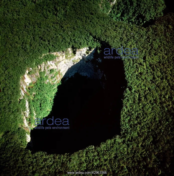 : Aerial image of Tepuis, Venezuela, South America : Aerial image of Tepuis, Venezuela, South America