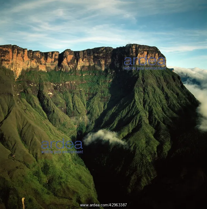 : Aerial image of Tepuis, Venezuela, South America : Aerial image of Tepuis, Venezuela, South America