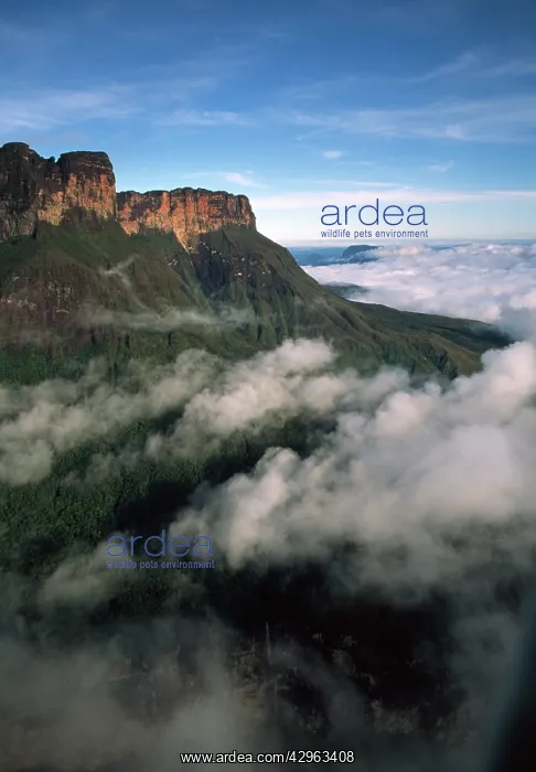 : Aerial image of Tepuis, Venezuela, South America : Aerial image of Tepuis, Venezuela, South America