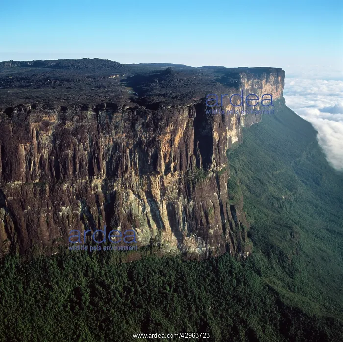 : Aerial image of Tepuis, Venezuela, South America: : Aerial image of Tepuis, Venezuela, South America: